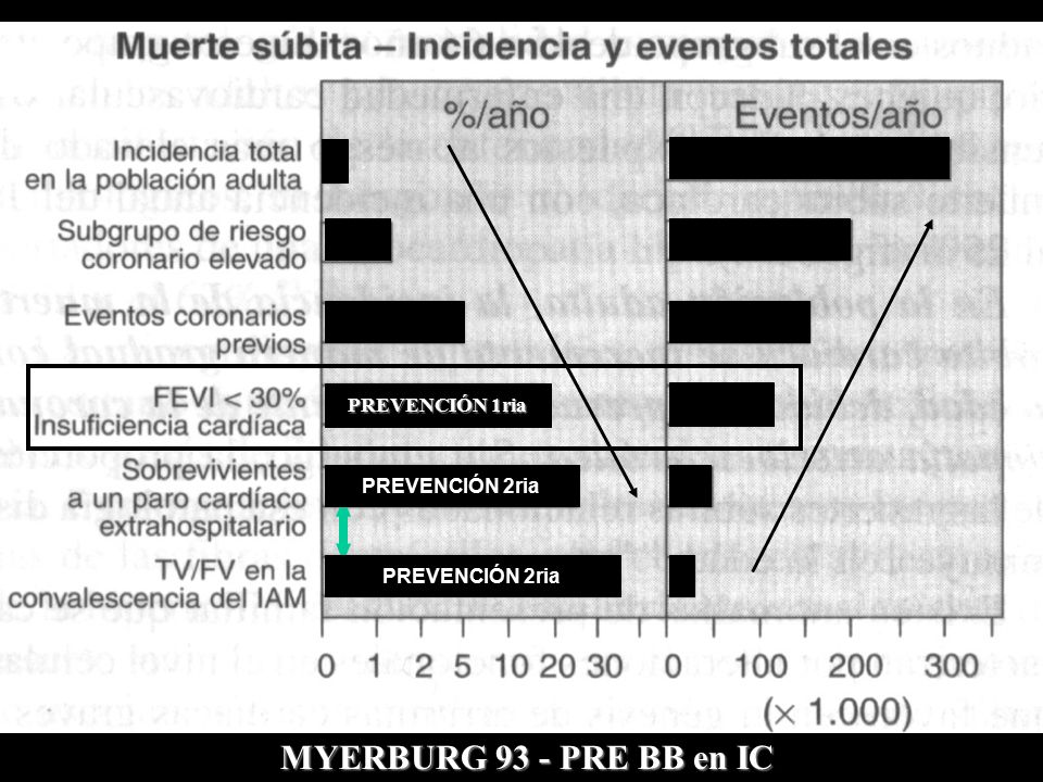 MYERBURG 93 - PRE BB en IC PREVENCIÓN 1ria PREVENCIÓN 2ria