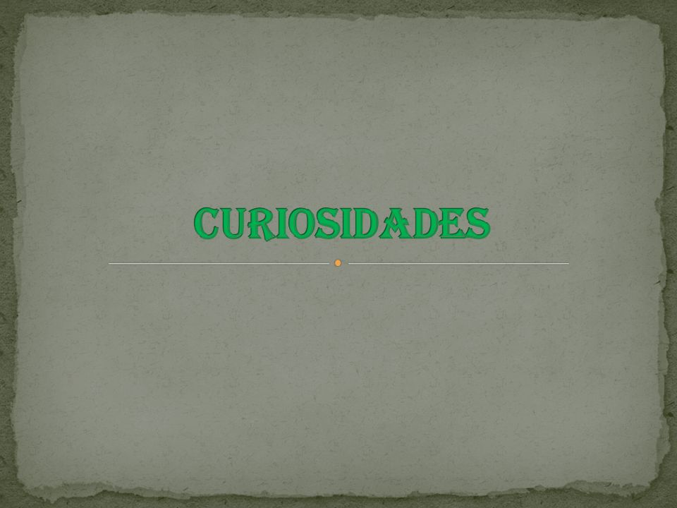 CURIOSIDADES