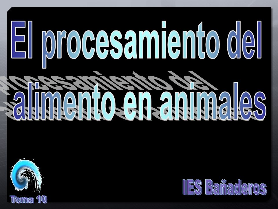 El procesamiento del alimento en animales IES Bañaderos Tema 10