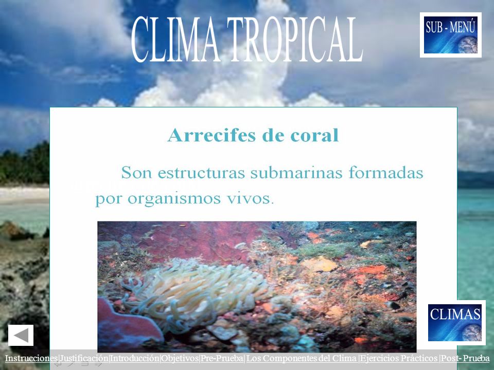 CLIMA TROPICAL Las zonas tropicales del Planeta constituyen la única área en donde se encuentran los.
