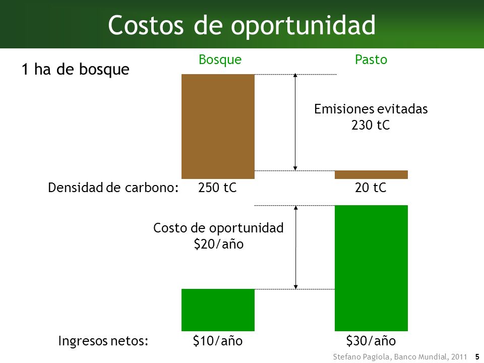 Costos de oportunidad 1 ha de bosque Bosque Pasto 250 tC