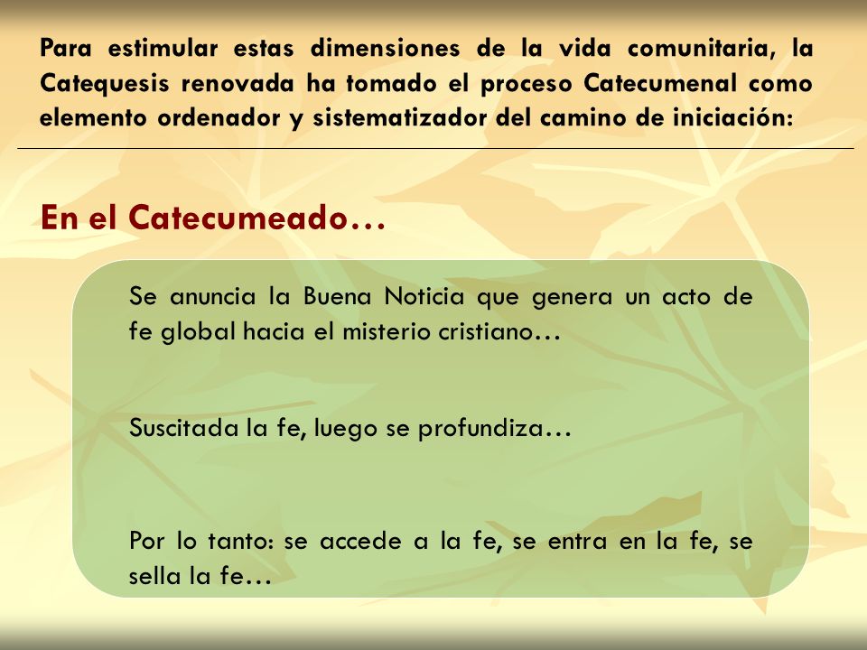 Para estimular estas dimensiones de la vida comunitaria, la Catequesis renovada ha tomado el proceso Catecumenal como elemento ordenador y sistematizador del camino de iniciación: