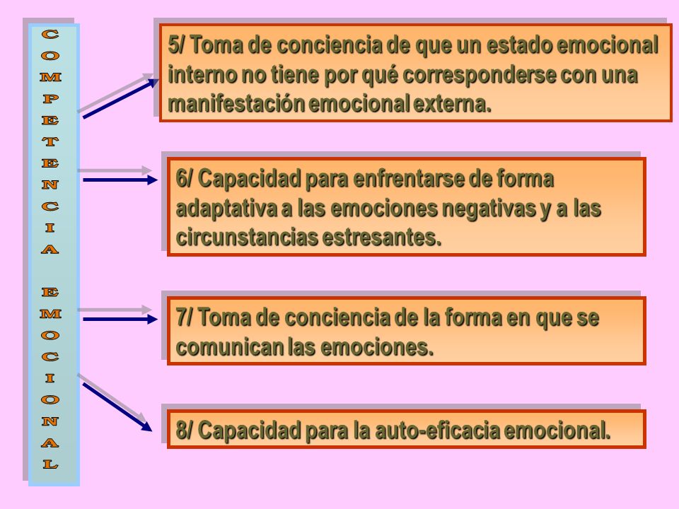 5/ Toma de conciencia de que un estado emocional interno no tiene por qué corresponderse con una manifestación emocional externa.
