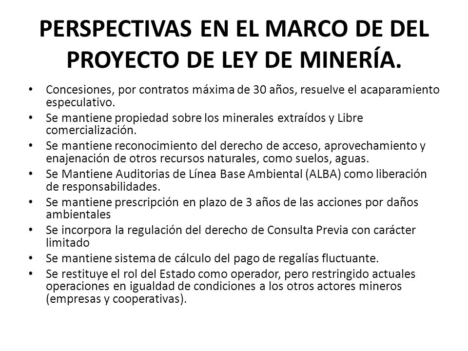 PERSPECTIVAS EN EL MARCO DE DEL PROYECTO DE LEY DE MINERÍA.