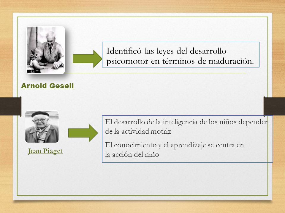 Identificó las leyes del desarrollo psicomotor en términos de maduración.