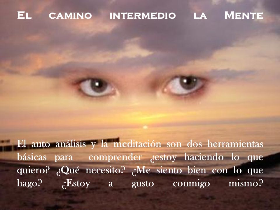 El camino intermedio la Mente El auto análisis y la meditación son dos herramientas básicas para comprender ¿estoy haciendo lo que quiero.