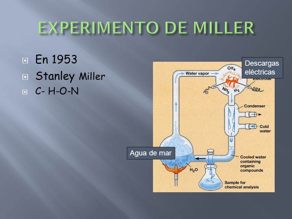 EXPERIMENTO DE MILLER En 1953 Stanley Miller C- H-O-N Descargas
