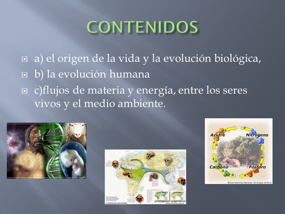 CONTENIDOS a) el origen de la vida y la evolución biológica,