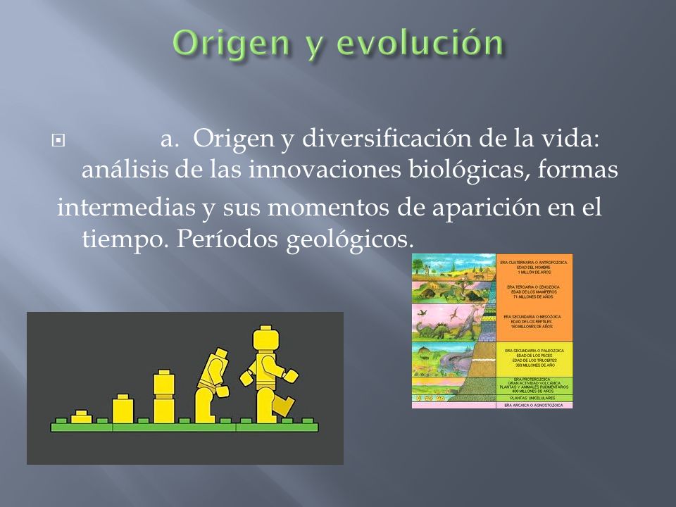 Origen y evolución a. Origen y diversificación de la vida: análisis de las innovaciones biológicas, formas.