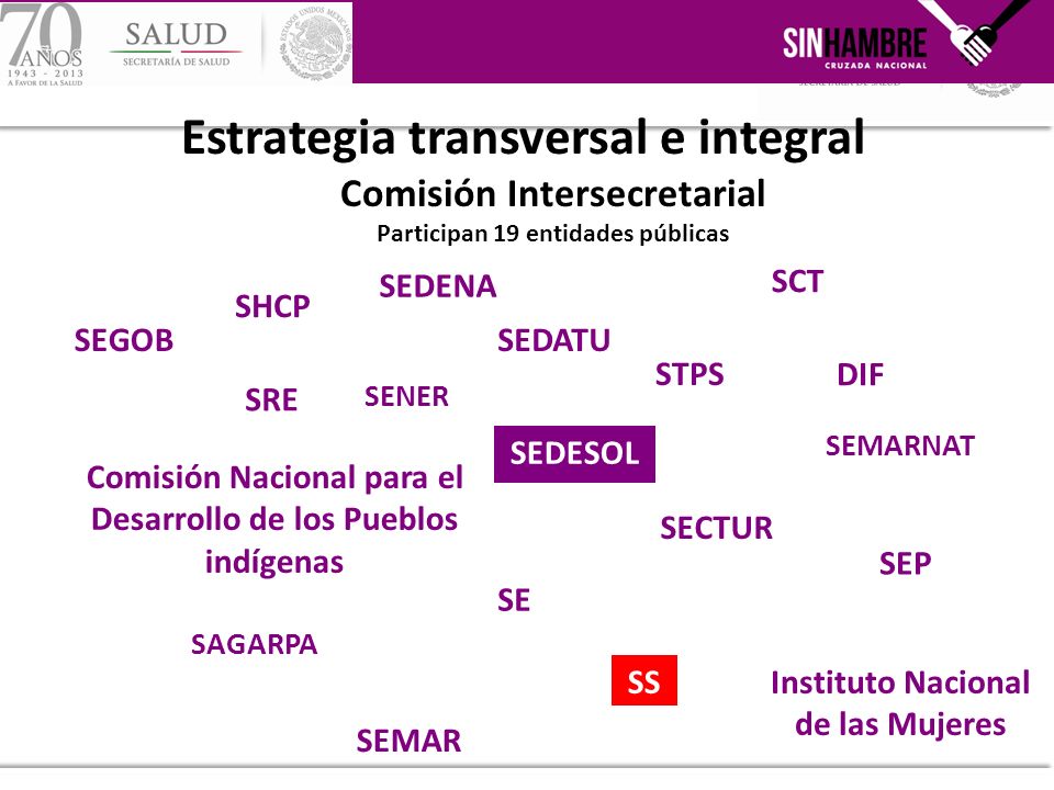 Estrategia transversal e integral Comisión Intersecretarial Participan 19 entidades públicas