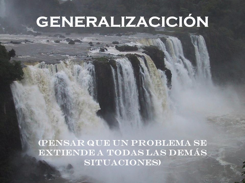 GENERALIZACICIÓN (Pensar que un problema se extiende a todas las demás situaciones)
