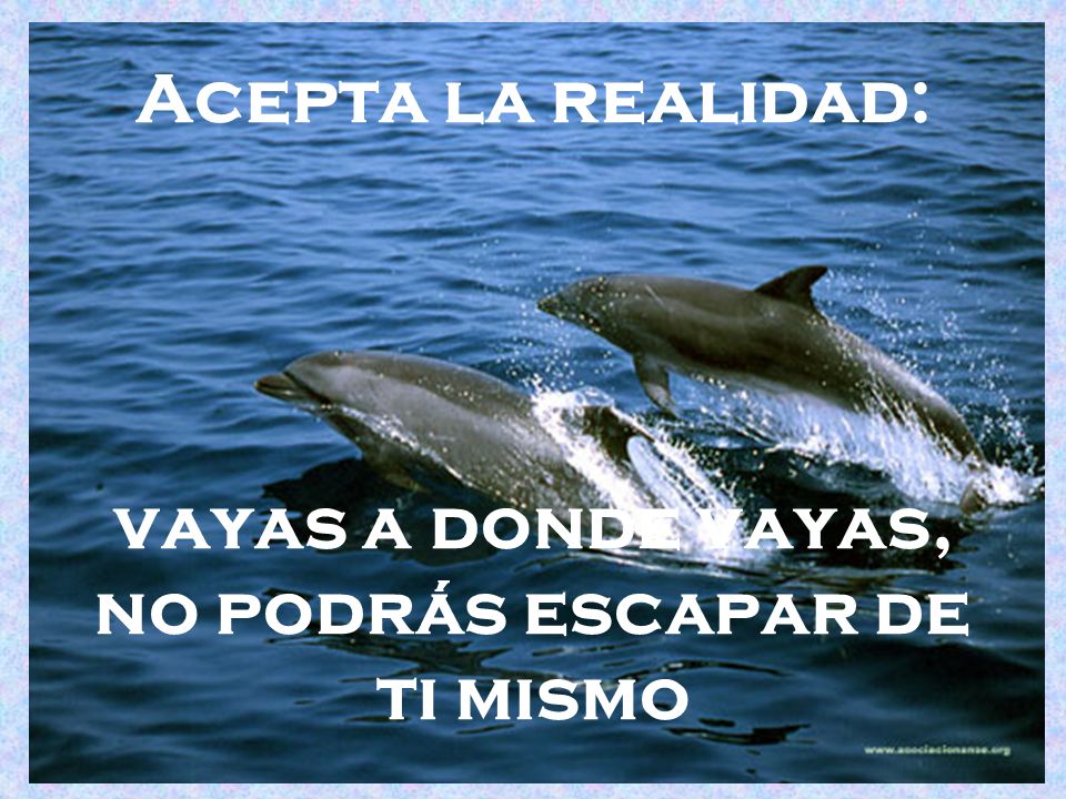 Acepta la realidad: vayas a donde vayas, no podrás escapar de ti mismo