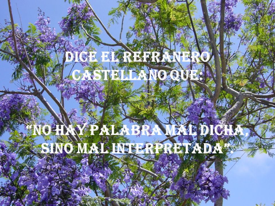 Dice el refranero castellano que: No hay palabra mal dicha, sino mal interpretada .