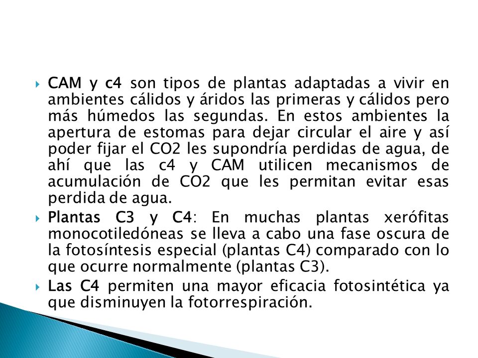 CAM y c4 son tipos de plantas adaptadas a vivir en ambientes cálidos y áridos las primeras y cálidos pero más húmedos las segundas. En estos ambientes la apertura de estomas para dejar circular el aire y así poder fijar el CO2 les supondría perdidas de agua, de ahí que las c4 y CAM utilicen mecanismos de acumulación de CO2 que les permitan evitar esas perdida de agua.