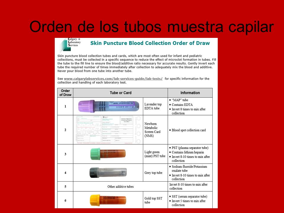 Orden de los tubos muestra capilar