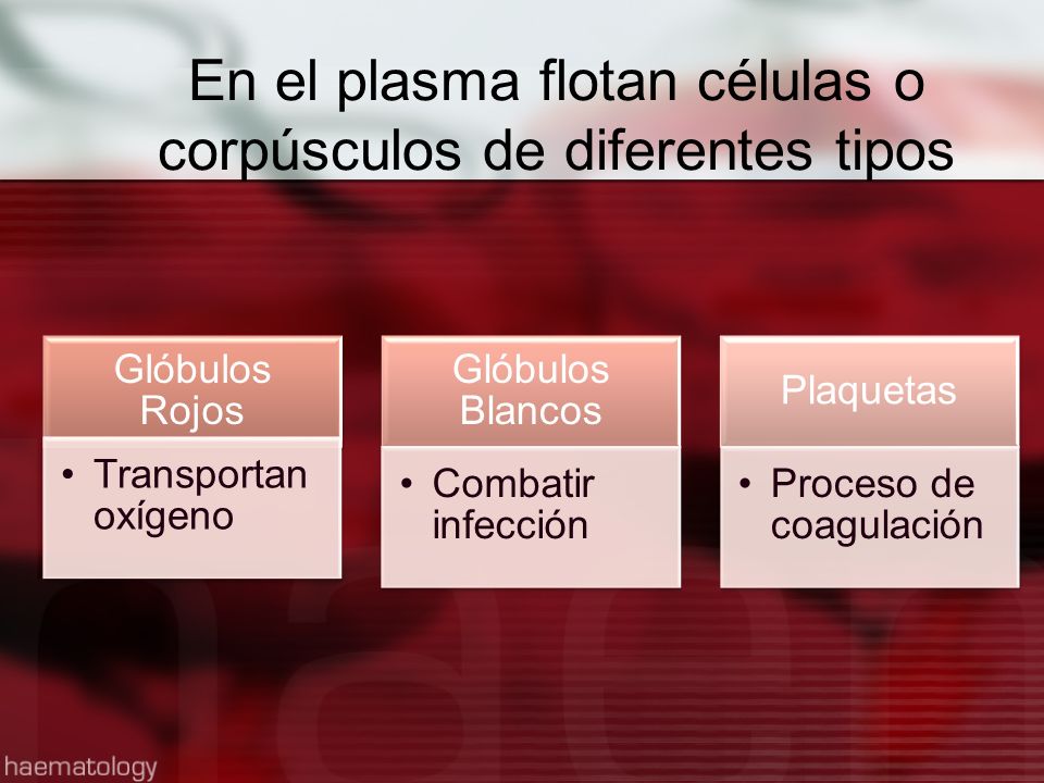 En el plasma flotan células o corpúsculos de diferentes tipos