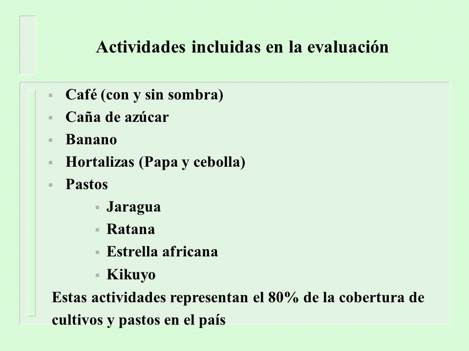 Actividades incluidas en la evaluación