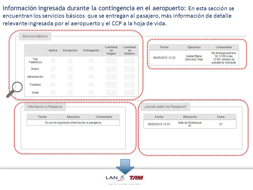 Información ingresada durante la contingencia en el aeropuerto: En esta sección se encuentran los servicios básicos que se entregan al pasajero, más información de detalle relevante ingresada por el aeropuerto y el CCP a la hoja de vida.