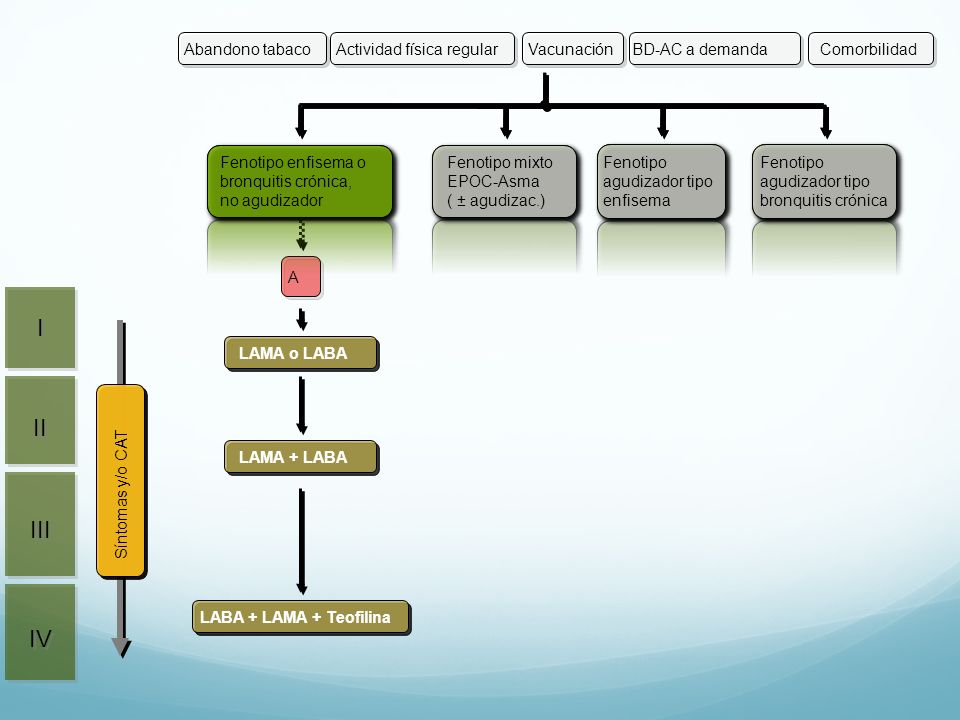 I II III IV Actividad física regular Vacunación BD-AC a demanda