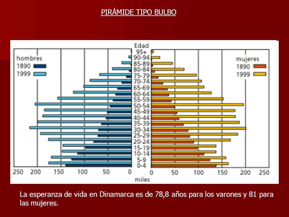 PIRÁMIDE TIPO BULBO La esperanza de vida en Dinamarca es de 78,8 años para los varones y 81 para las mujeres.