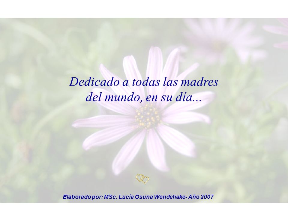 Elaborado por: MSc. Lucía Osuna Wendehake- Año 2007