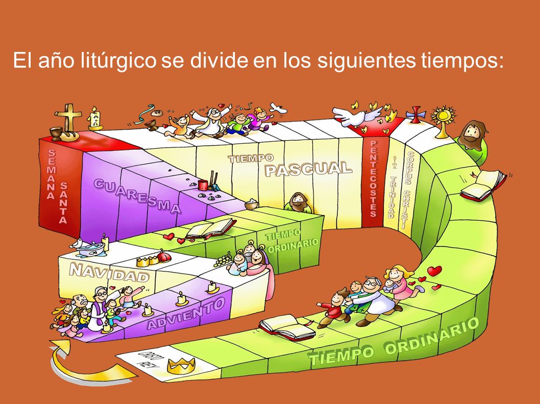 El año litúrgico se divide en los siguientes tiempos: