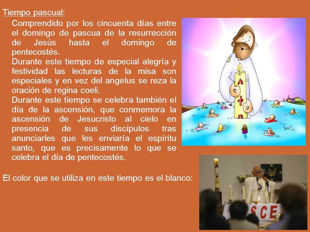 Tiempo pascual: Comprendido por los cincuenta días entre el domingo de pascua de la resurrección de Jesús hasta el domingo de pentecostés.
