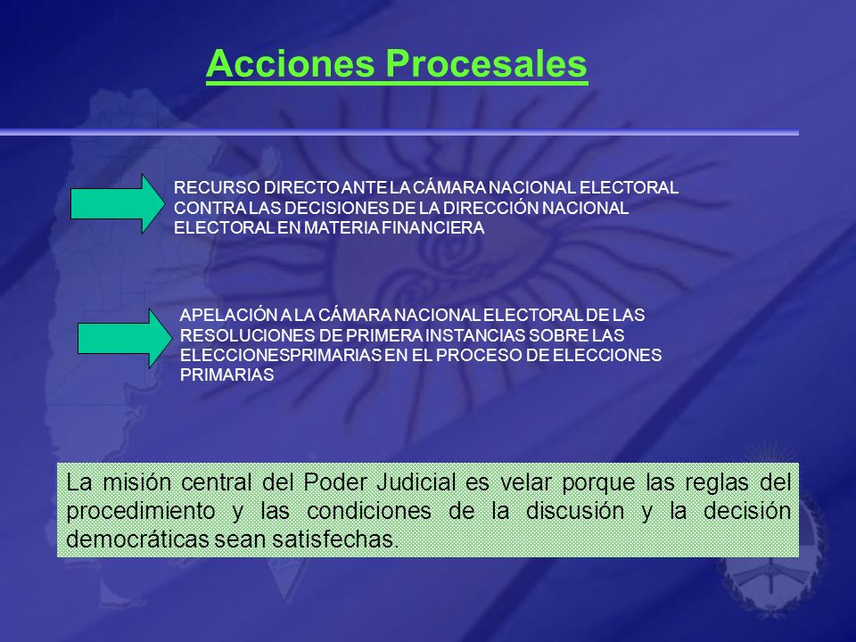 Acciones Procesales RECURSO DIRECTO ANTE LA CÁMARA NACIONAL ELECTORAL. CONTRA LAS DECISIONES DE LA DIRECCIÓN NACIONAL.