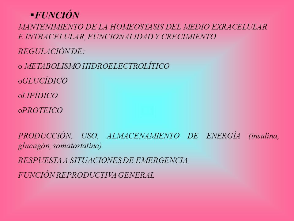 FUNCIÓN MANTENIMIENTO DE LA HOMEOSTASIS DEL MEDIO EXRACELULAR E INTRACELULAR, FUNCIONALIDAD Y CRECIMIENTO.