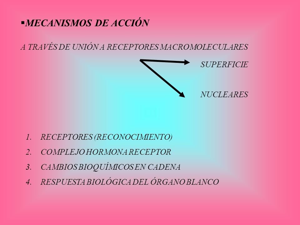 MECANISMOS DE ACCIÓN A TRAVÉS DE UNIÓN A RECEPTORES MACROMOLECULARES