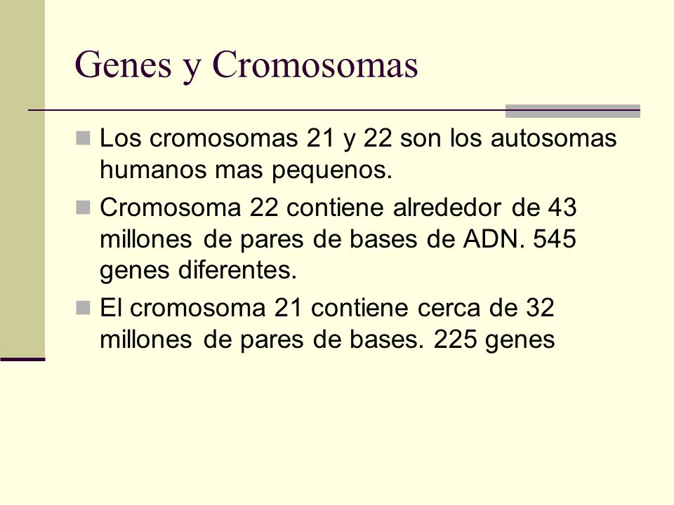 Genes y Cromosomas Los cromosomas 21 y 22 son los autosomas humanos mas pequenos.
