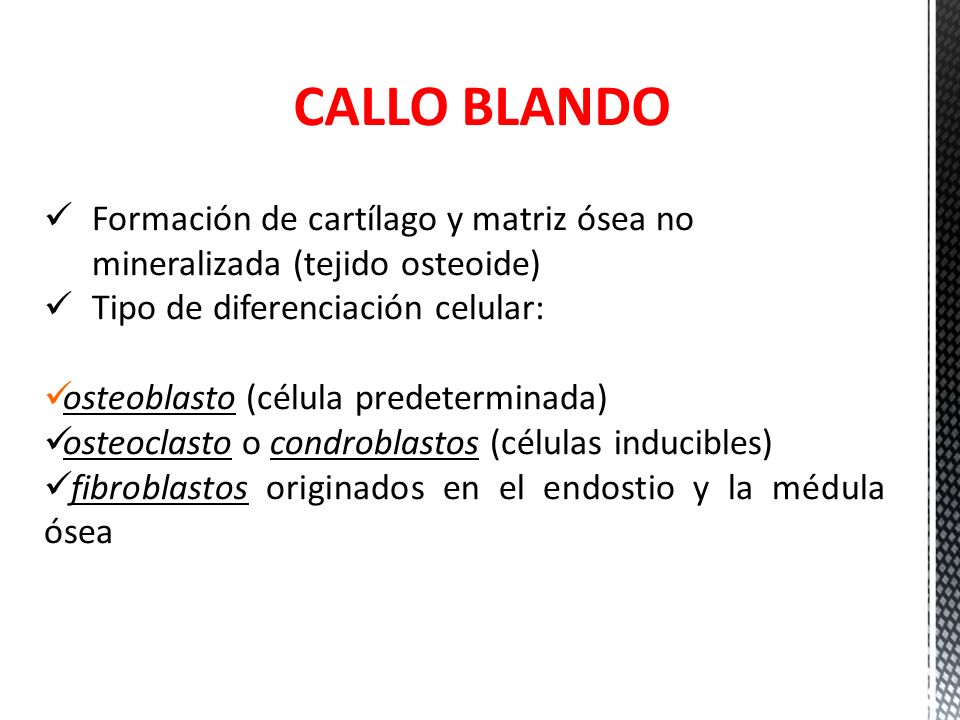 CALLO BLANDO Formación de cartílago y matriz ósea no mineralizada (tejido osteoide) Tipo de diferenciación celular: