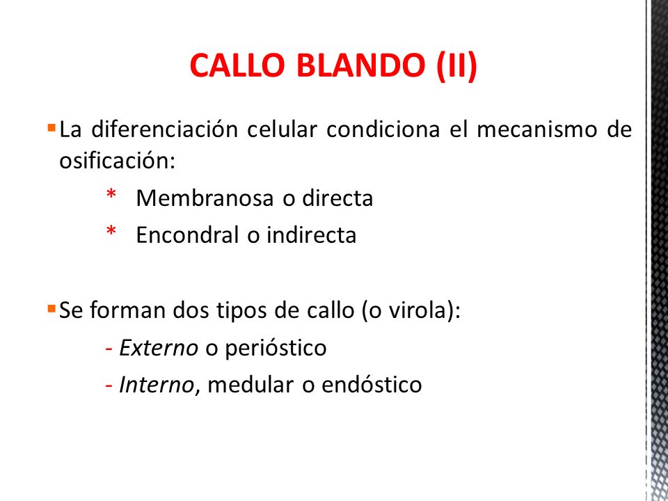 CALLO BLANDO (II) La diferenciación celular condiciona el mecanismo de osificación: * Membranosa o directa.