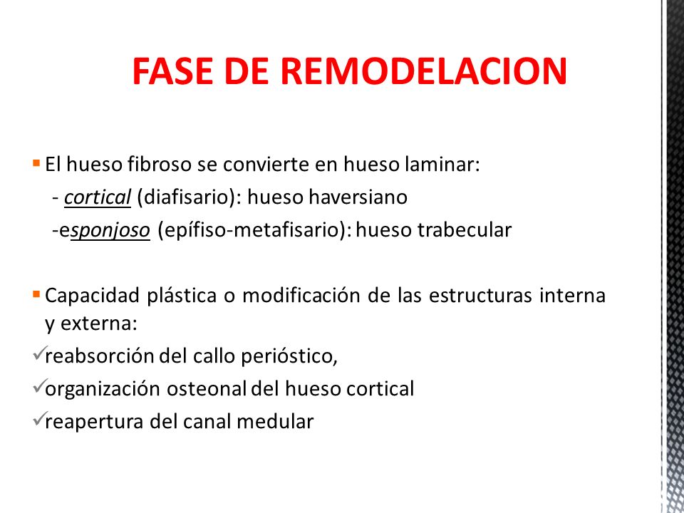 FASE DE REMODELACION El hueso fibroso se convierte en hueso laminar: