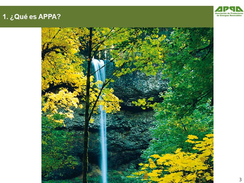1. ¿Qué es APPA 3