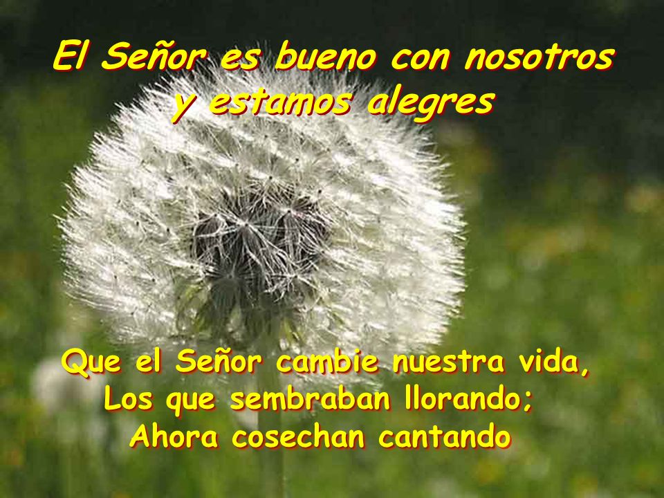 El Señor es bueno con nosotros y estamos alegres