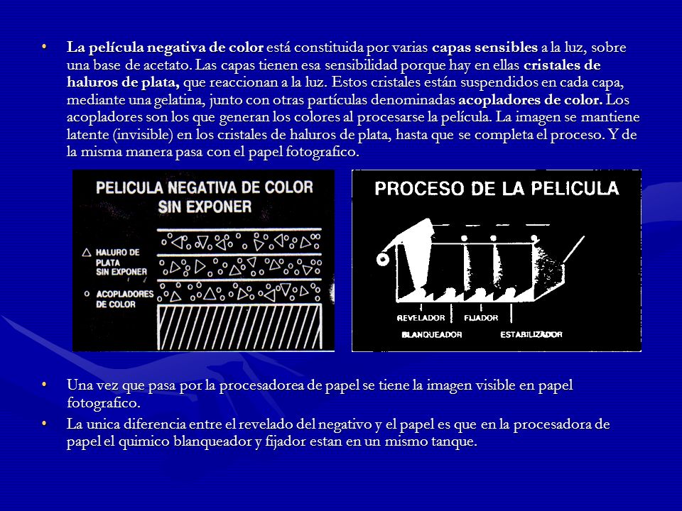 La película negativa de color está constituida por varias capas sensibles a la luz, sobre una base de acetato. Las capas tienen esa sensibilidad porque hay en ellas cristales de haluros de plata, que reaccionan a la luz. Estos cristales están suspendidos en cada capa, mediante una gelatina, junto con otras partículas denominadas acopladores de color. Los acopladores son los que generan los colores al procesarse la película. La imagen se mantiene latente (invisible) en los cristales de haluros de plata, hasta que se completa el proceso. Y de la misma manera pasa con el papel fotografico.