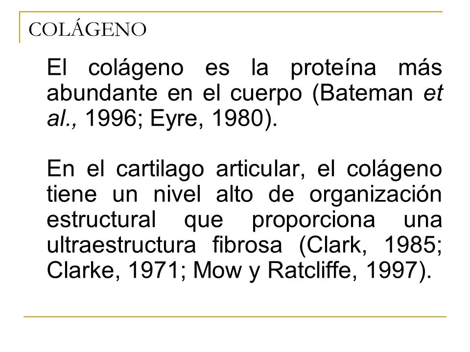 COLÁGENO El colágeno es la proteína más abundante en el cuerpo (Bateman et al., 1996; Eyre, 1980).