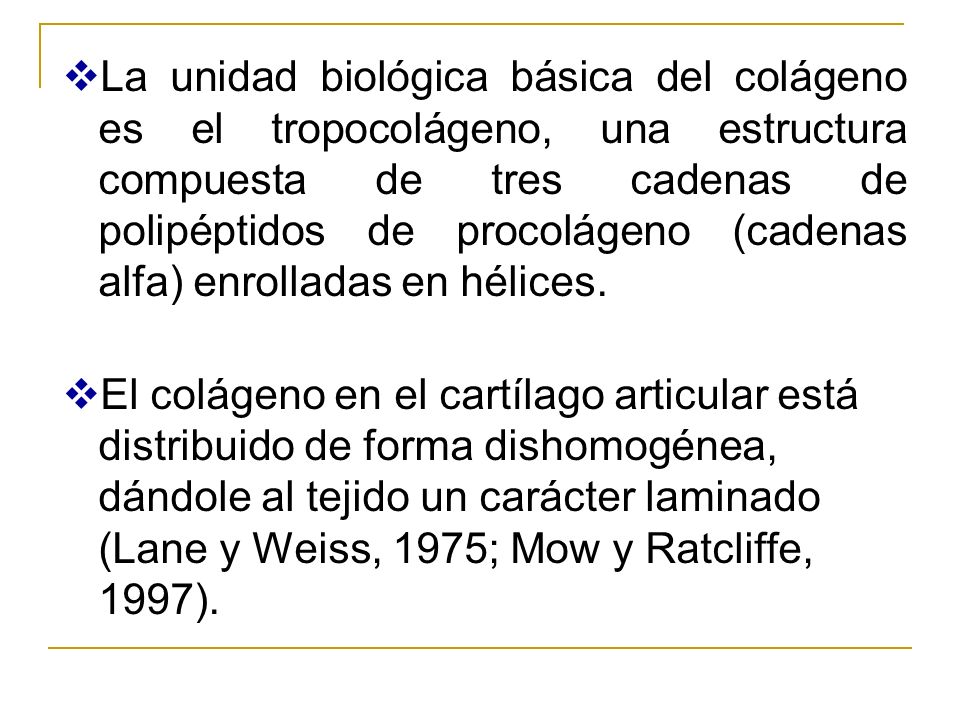 La unidad biológica básica del colágeno es el tropocolágeno, una estructura compuesta de tres cadenas de polipéptidos de procolágeno (cadenas alfa) enrolladas en hélices.