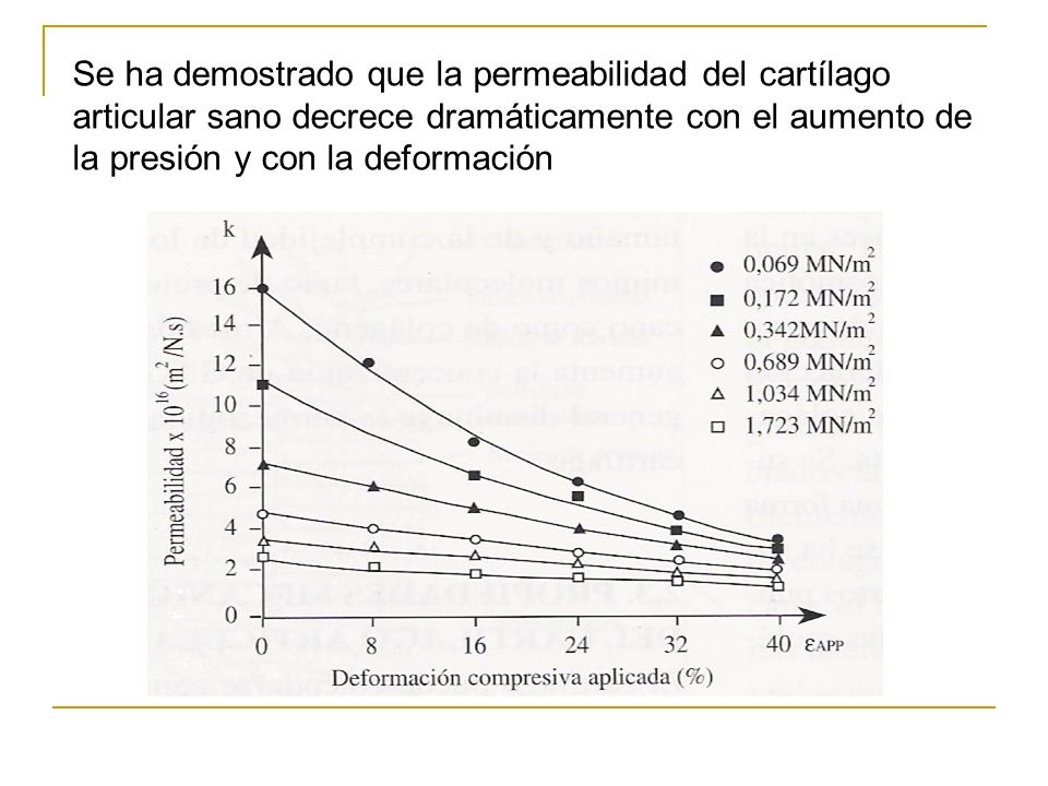 Se ha demostrado que la permeabilidad del cartílago articular sano decrece dramáticamente con el aumento de la presión y con la deformación