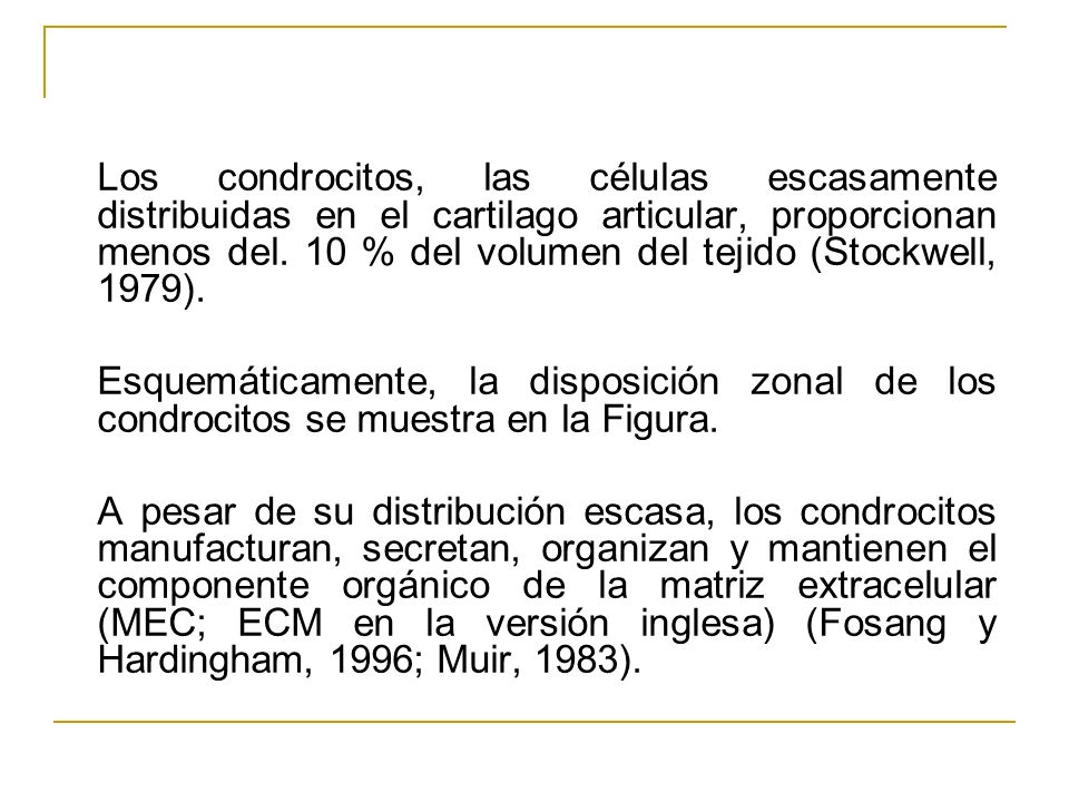 Los condrocitos, las células escasamente distribuidas en el cartilago articular, proporcionan menos del. 10 % del volumen del tejido (Stockwell, 1979).