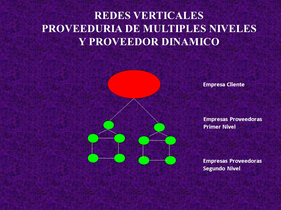 PROVEEDURIA DE MULTIPLES NIVELES