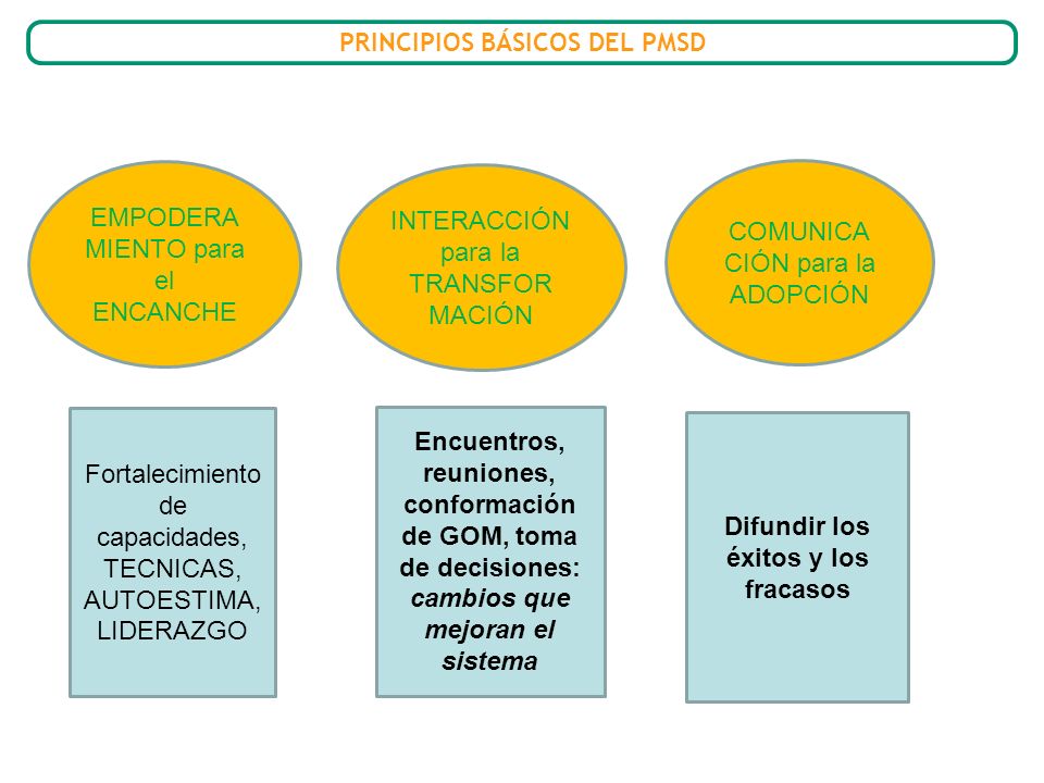 PRINCIPIOS BÁSICOS DEL PMSD Difundir los éxitos y los fracasos