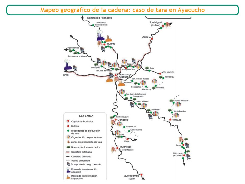 Mapeo geográfico de la cadena: caso de tara en Ayacucho