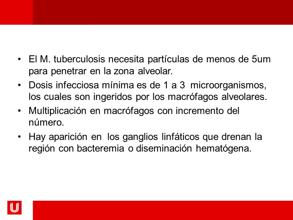 El M. tuberculosis necesita partículas de menos de 5um para penetrar en la zona alveolar.