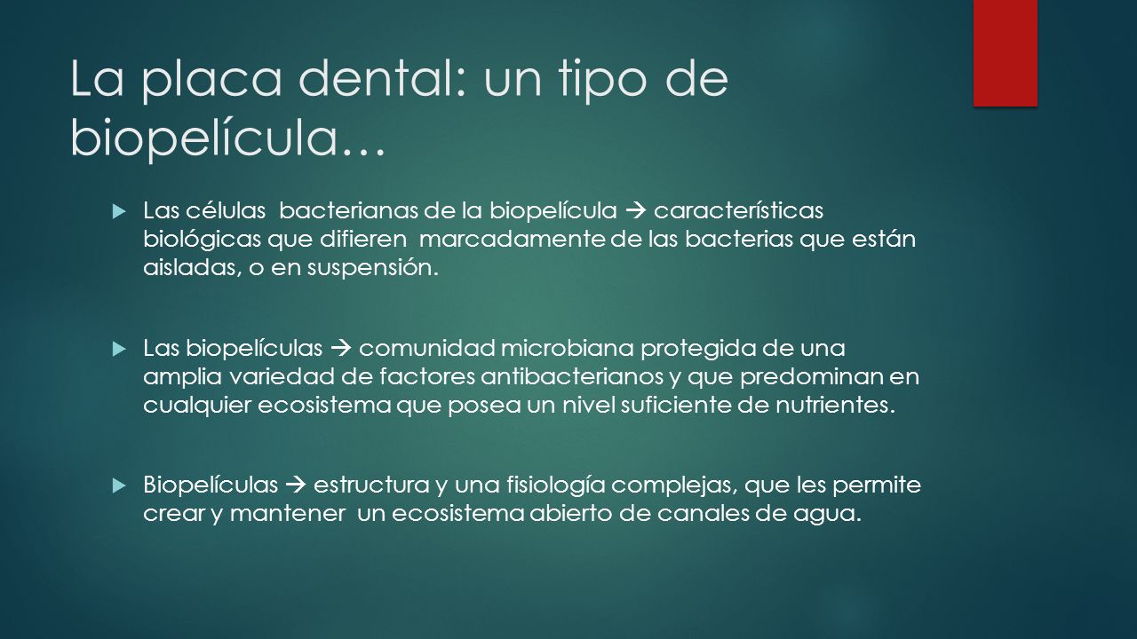 La placa dental: un tipo de biopelícula…