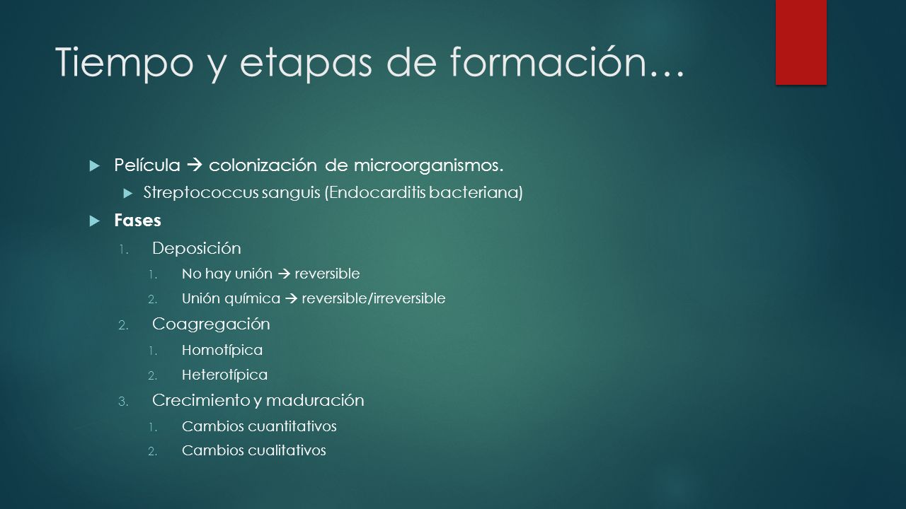 Tiempo y etapas de formación…