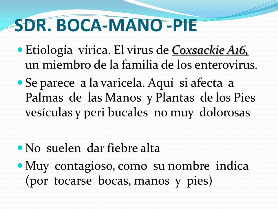 SDR. BOCA-MANO -PIE Etiología vírica. El virus de Coxsackie A16, un miembro de la familia de los enterovirus.