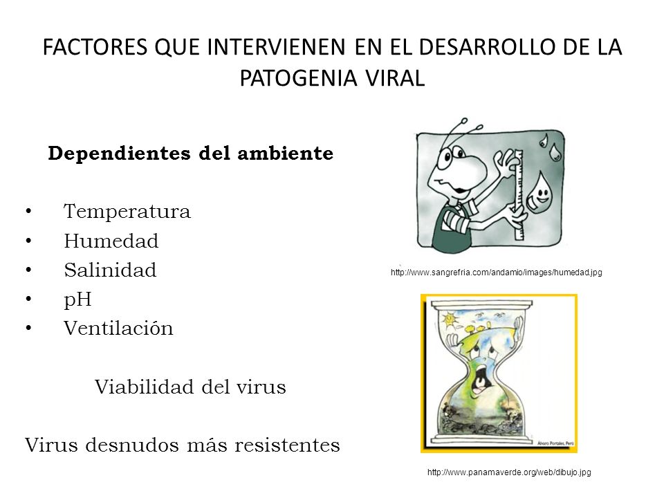 FACTORES QUE INTERVIENEN EN EL DESARROLLO DE LA PATOGENIA VIRAL