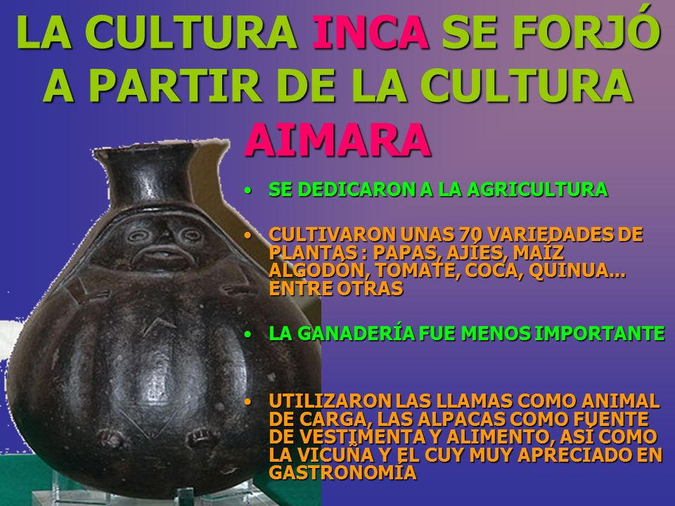 LA CULTURA INCA SE FORJÓ A PARTIR DE LA CULTURA AIMARA